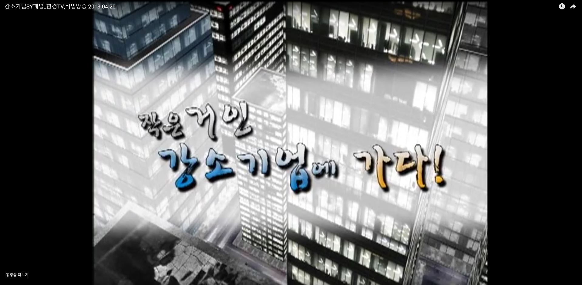 [TV방송]2013 한경TV 강소기업에 가다! ‘에스와이패널’편